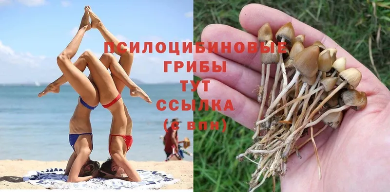 Галлюциногенные грибы GOLDEN TEACHER  Ефремов 